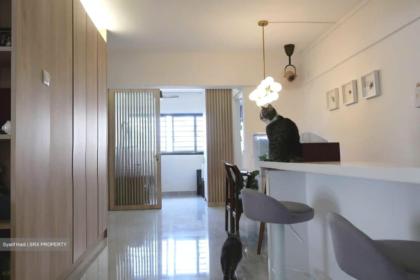 Blk 66 BLANGAH VIEW (Bukit Merah), HDB 5 Rooms #547672611